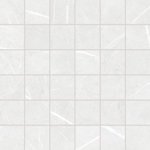 RAKO TOUCH mozaika DDM05902 Frost 5x5 světle šedá v designu mramoru
